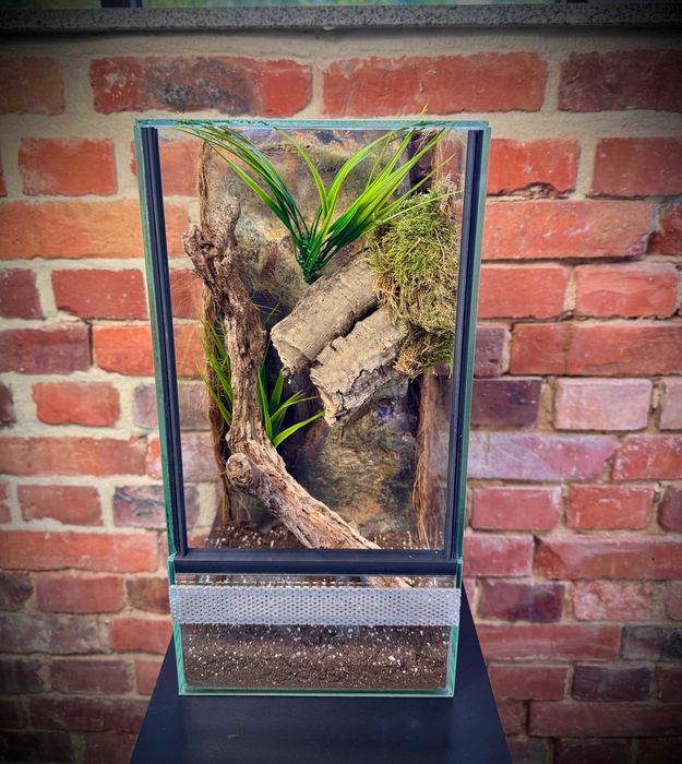 Terrarium szklane z leśnym wystrojem 20x20x40 cm. AlleTerra