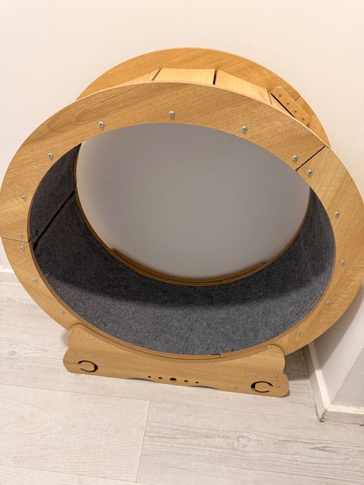 Roda de exercício para gatos