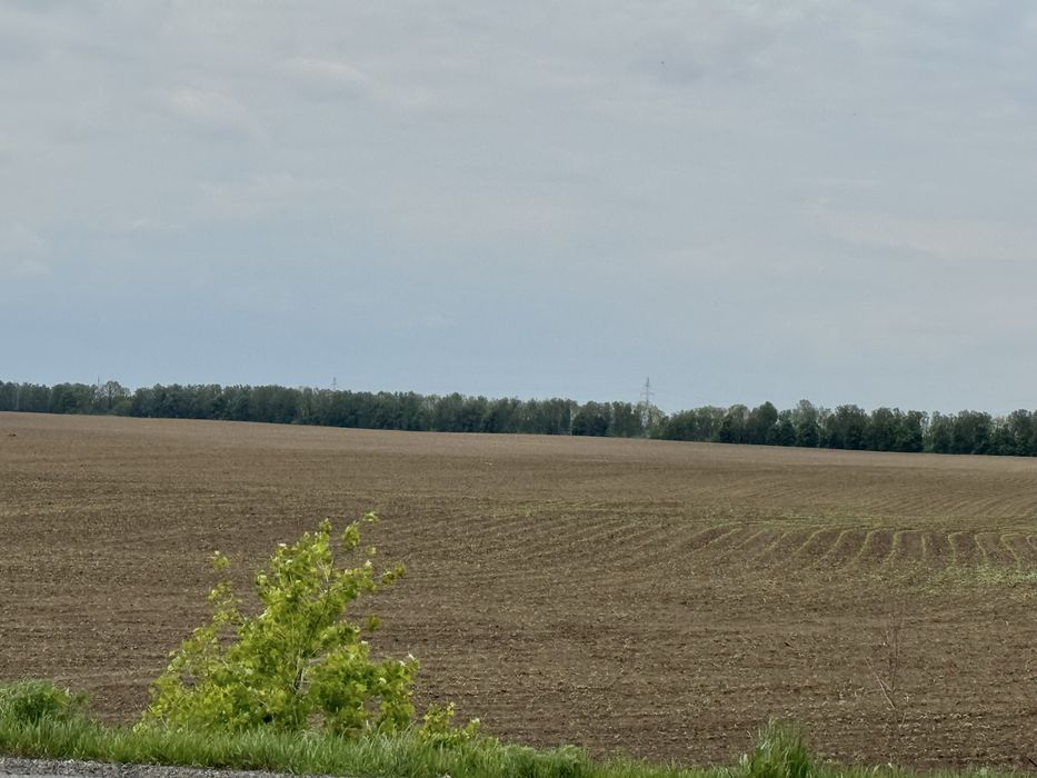 Земельна ділянка 27 га! Андріївка.