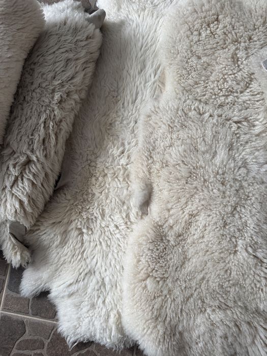 Натуральна овеча шкура