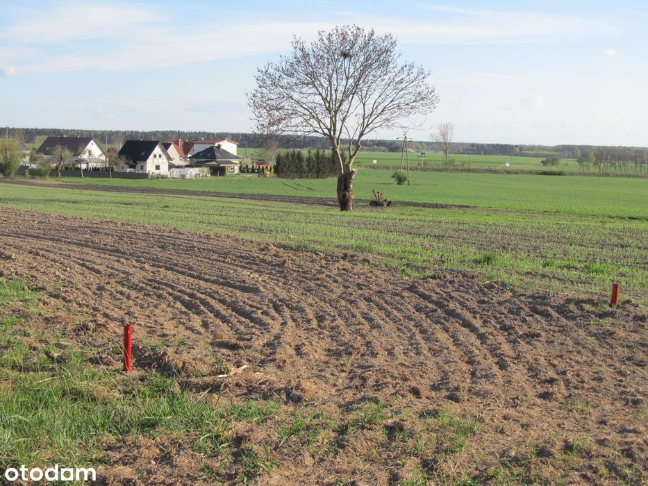 Na sprzedaż działka budowlana w Gaworzycach