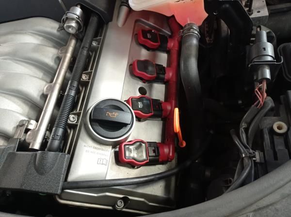 Motor completo AUDI A4 (8EC, B7)