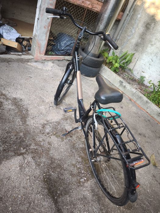 VICTORIA Hoya L6 Trekking