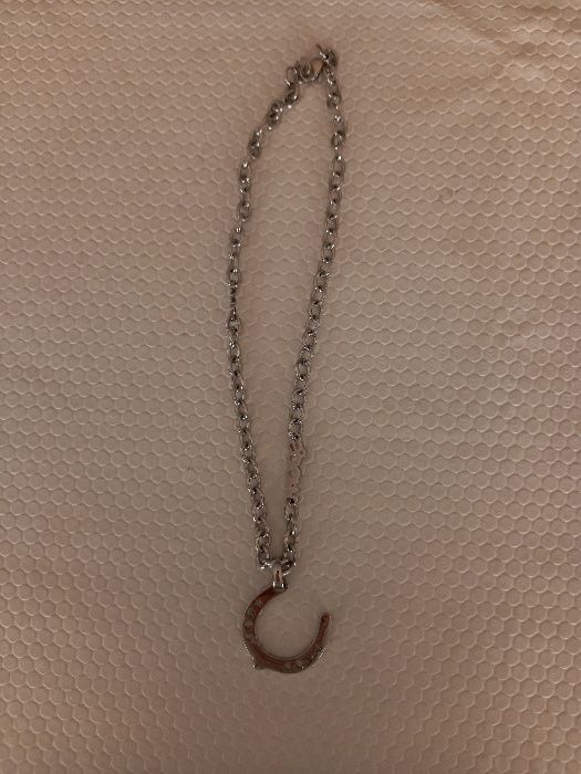 Colar Ferradura Aço