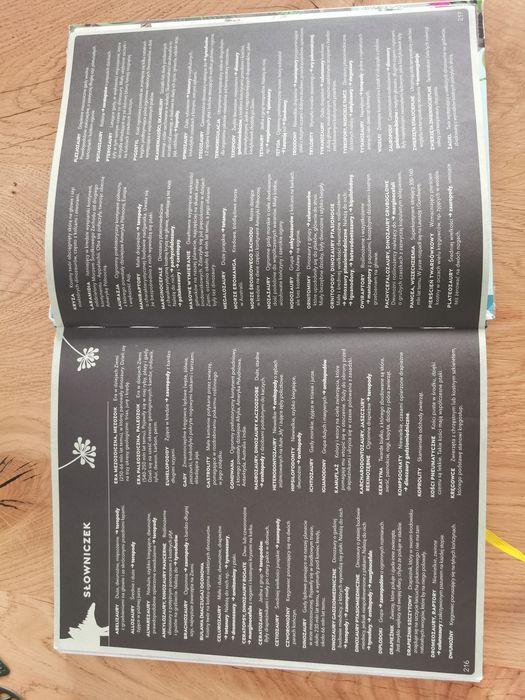 Rok z Dinozaurami kropka książka