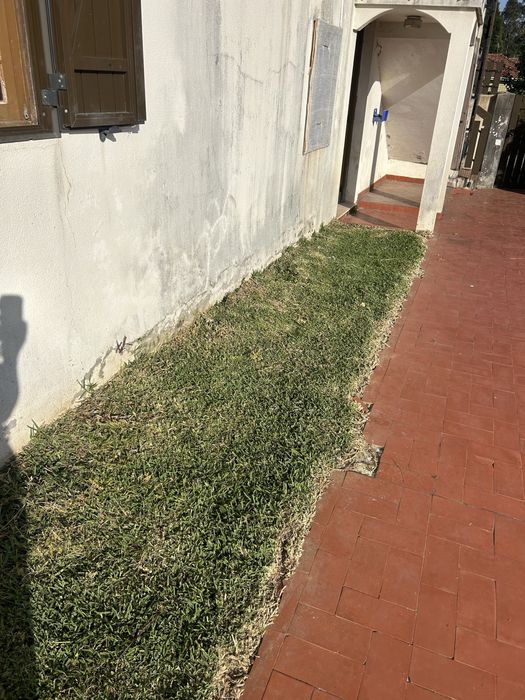 Serviços de Jardinagem