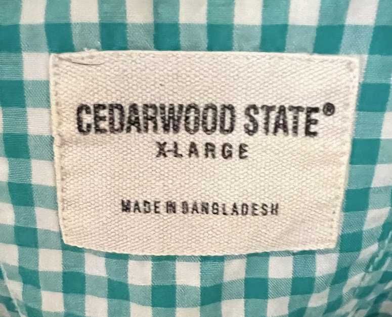 Koszula męska w kolorze turkusowym