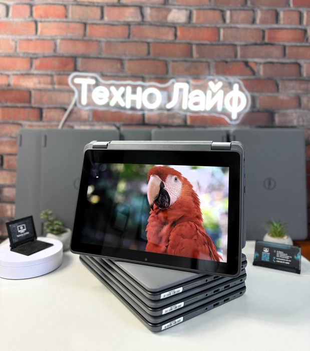 Сенсорний ноутбук Dell Latitude 3120·N6000·4GB·SSD 120GB·Windows·2022р