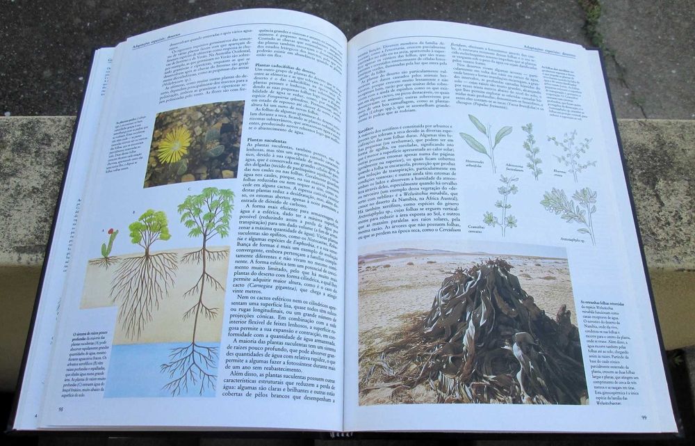 Enciclopédia do Conhecimento ciência e tecnologia, As Plantas
