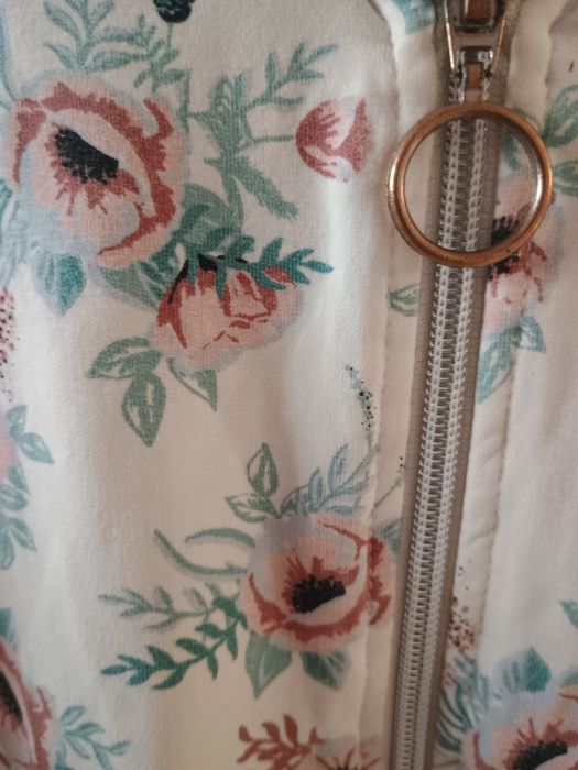 Bluza Coccodrillo