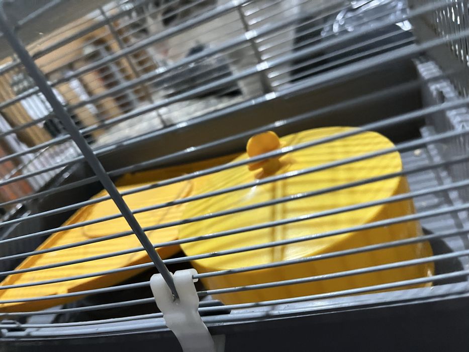 Gaiola para rato ou amster como nova