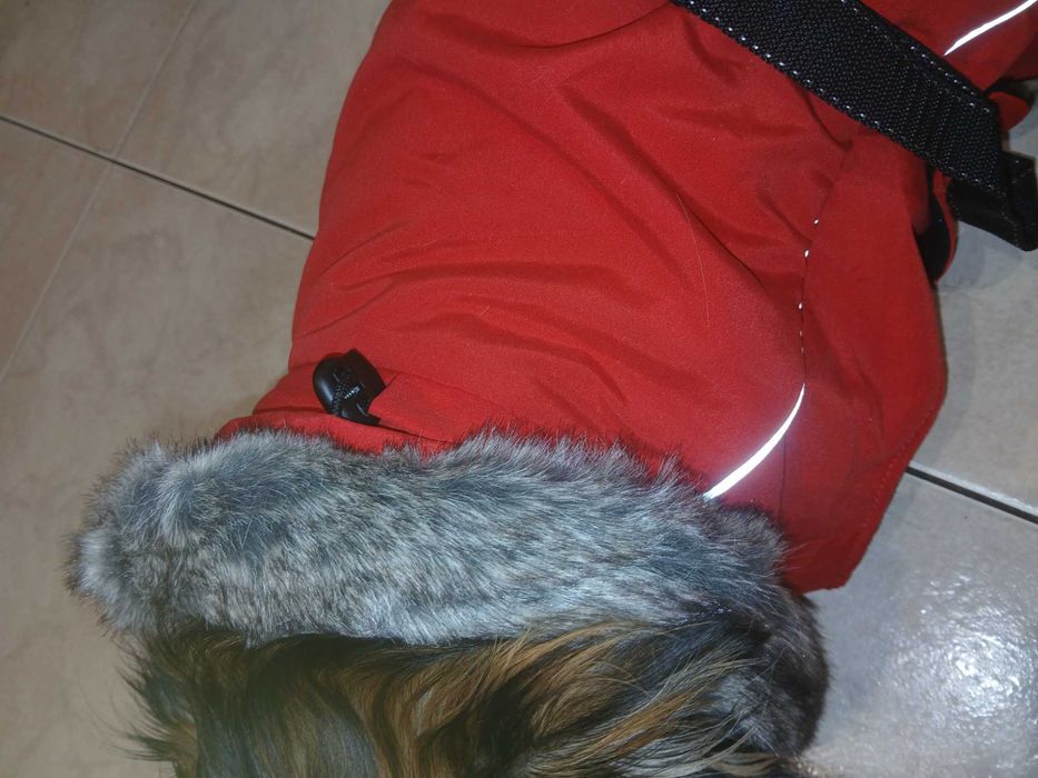 Kurtka dla psa. Kurteczka dla psa. Ubranko dla psa.