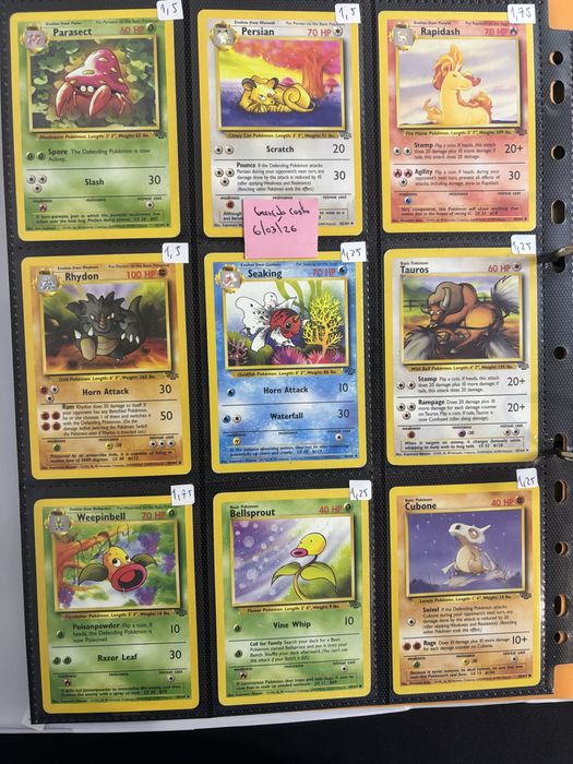 Cartas Pokemon Jungle Pt e Ingles
