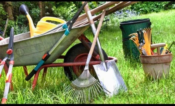 Розчистка участків, ділянок, території