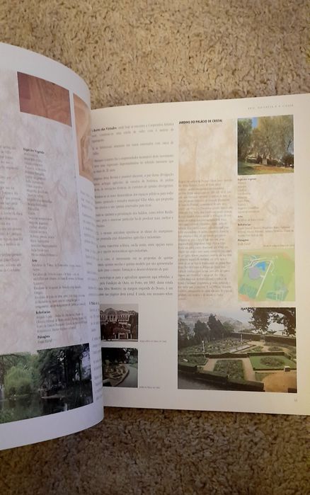 Arte Natureza e A Cidade de Jacinto Rodrigues