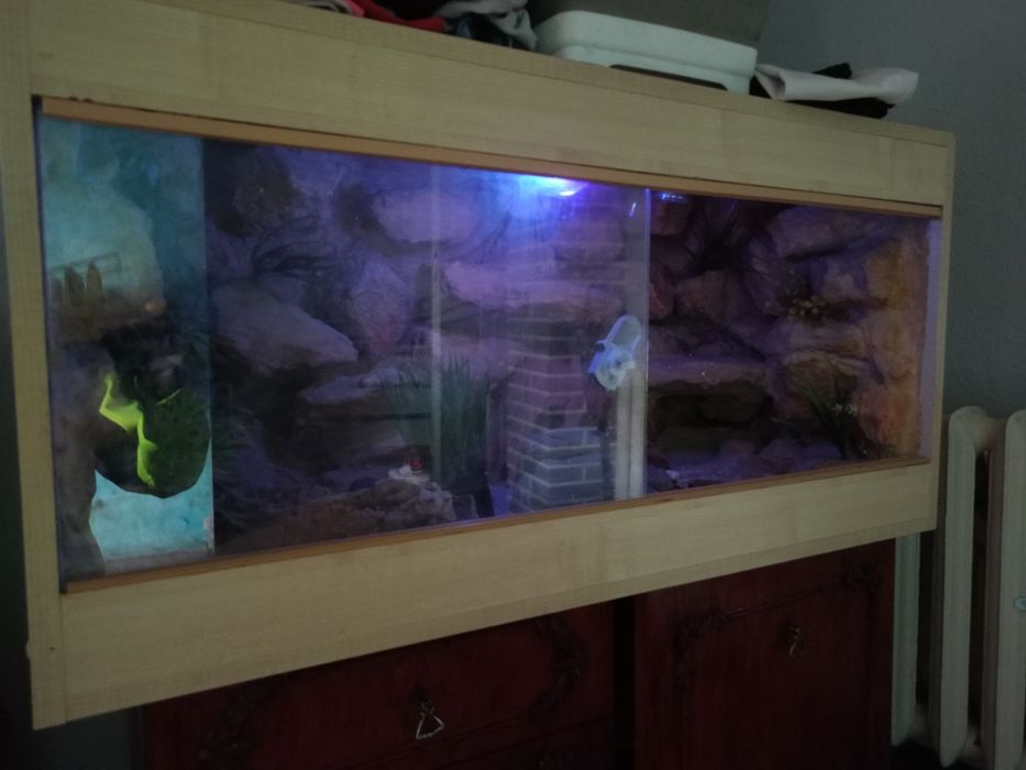 Terrarium dla węża,gekona