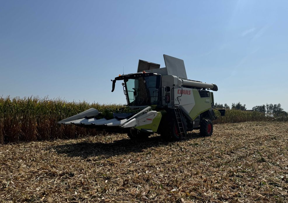 USLUGI ROLNICZE, siew kukurydzy, koszenie zbóż, rzepaku, kukurydzy na ziarno