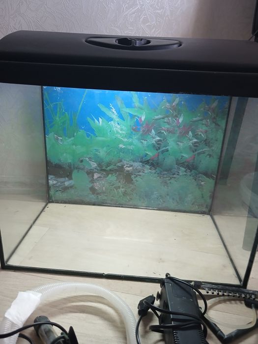 Акваріум 60 літрів