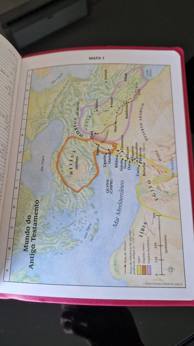 Bíblia Sagrada Letra Extra gigante NTLH | Capa Luxo Pink