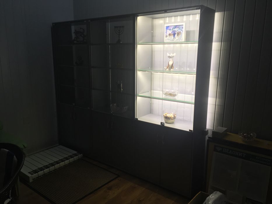 Витрина под ювелирный и прочий вид деятельности с профессиональным ос