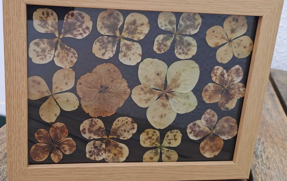 Azores Collection Frame - Black64584216567169123