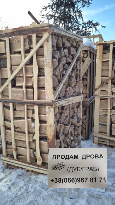 Дрова (дуб/граб/береза/осика)