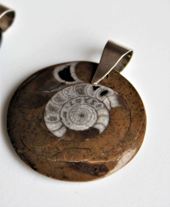 Pendente elegante e com valor Histórico, Amonite