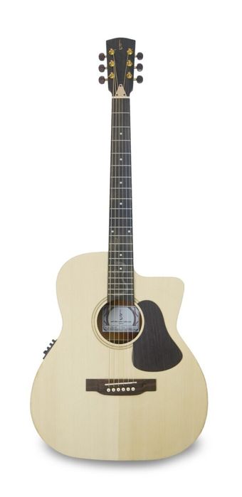 APC GA100CW aço elétrico violão