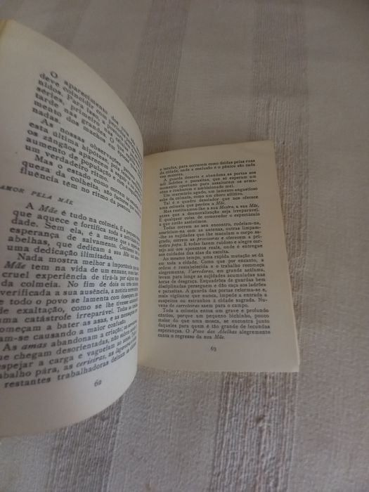 Livro antigo sobre as abelhas e o mel