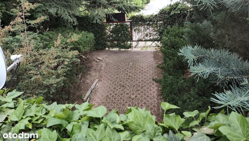 Duży dla rodziny Płońsk