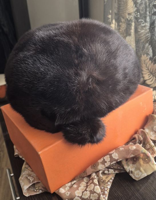 Шапка   (норка )