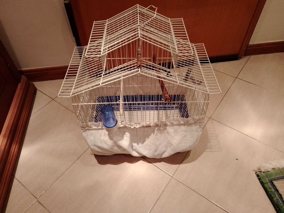 Gaiola em bom estado para canários ou piriquitos.