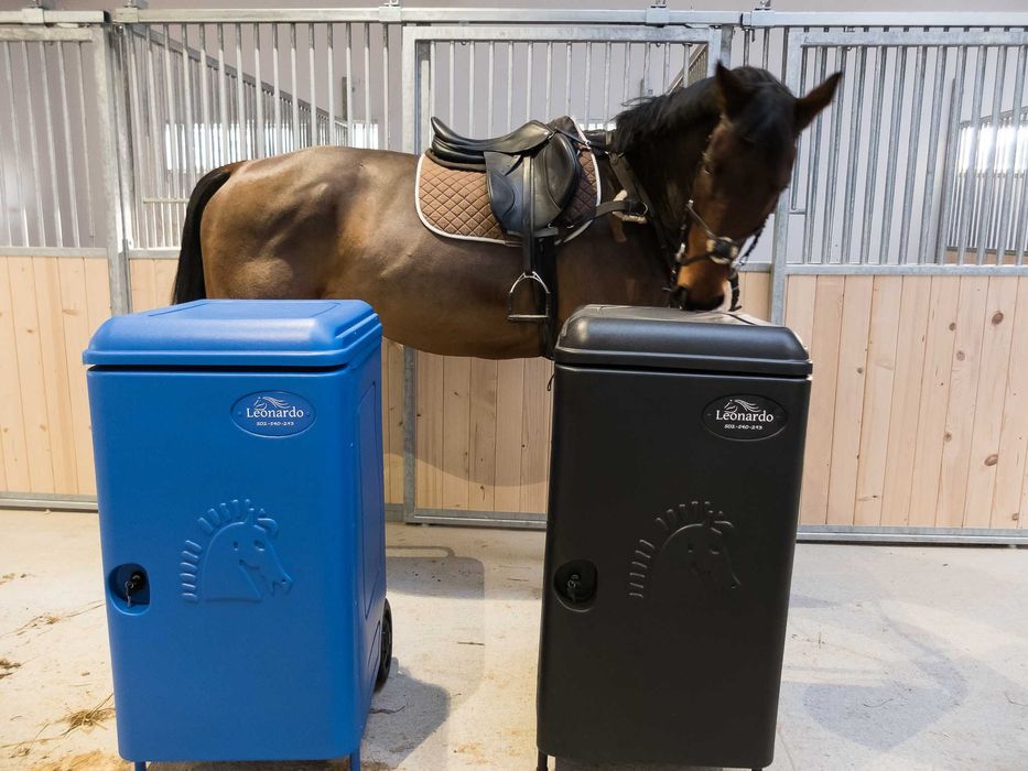 Paka jeździecka | Paki jeździeckie LEONARDO