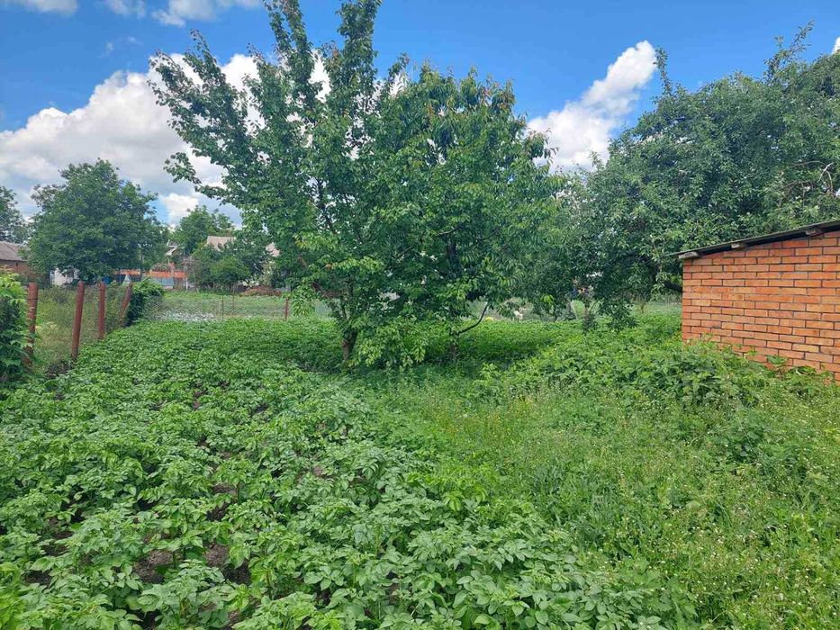 (5) Продам будинок в Літині 6470