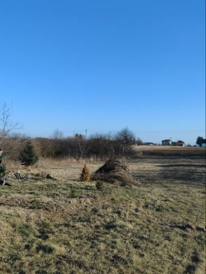 Sorzedam dzialke budowlana 35ar Sandomierz/chwalki