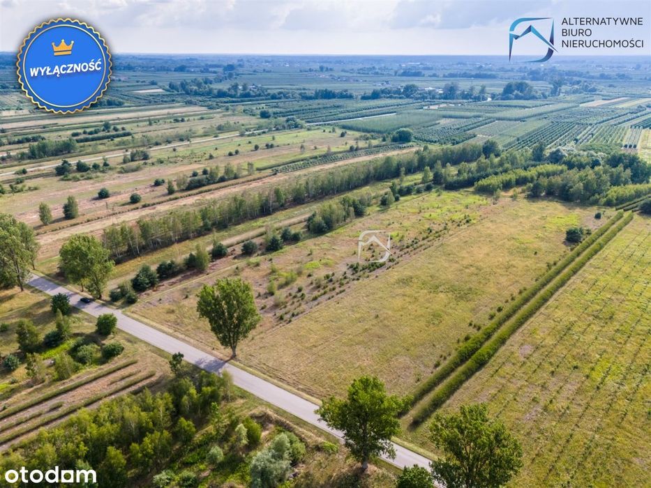 Ustawny grunt rolny - Niedźwiada Duża gm Łaziska - Więcej