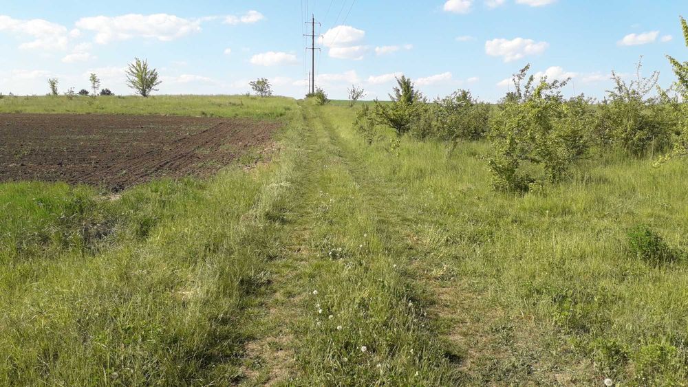 Продаю земельну ділянку с.Великі Бірки