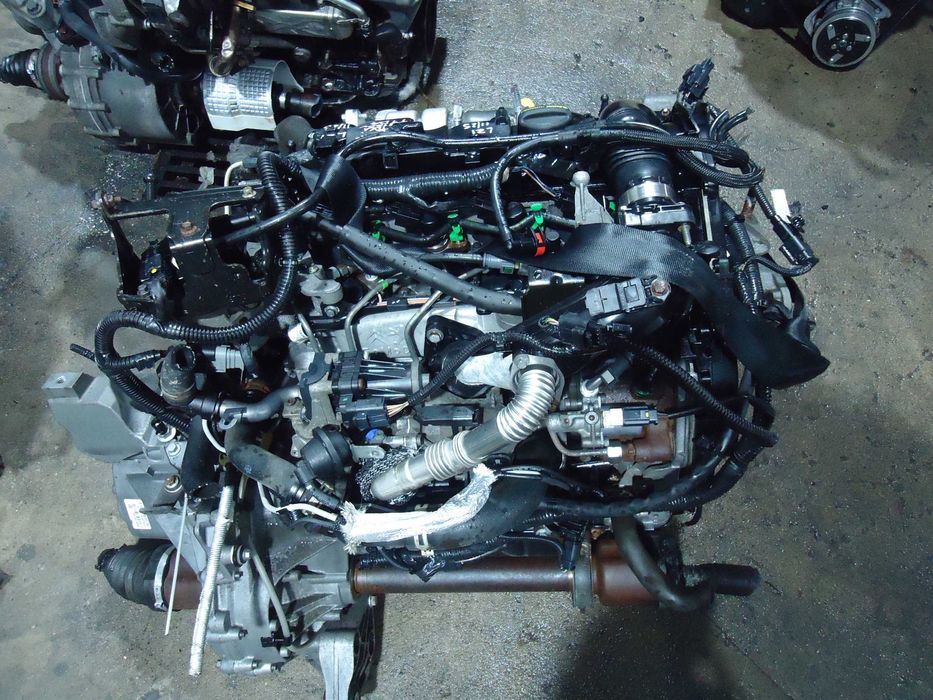 Motor Ford 1.6 Tdci 115cv (T1DA)