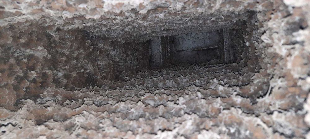 Трубочисть Сажотрус