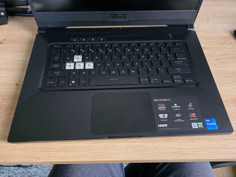 Laptop gamingowy Asus TUF F15 FX516P