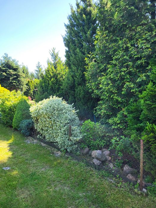 Okazja  Sprzedam piękną działkę ROD koło Strykowa POD Osa