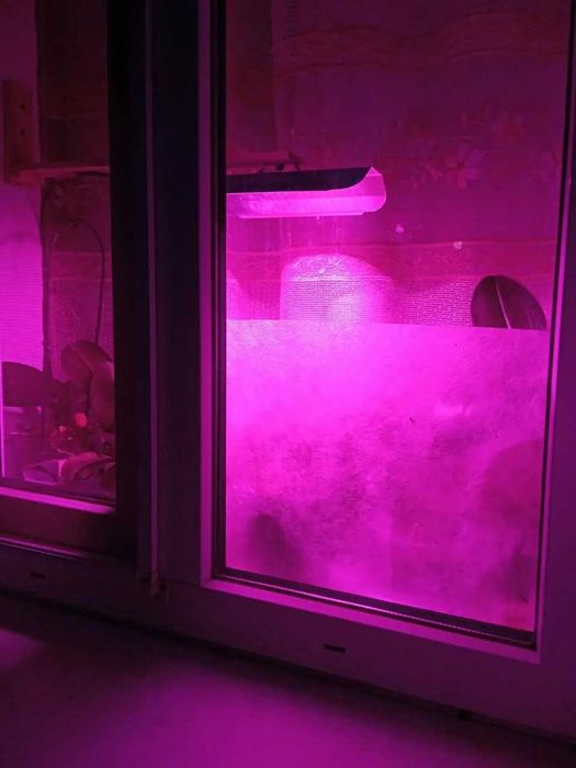 LED фітопрожектори для рослин