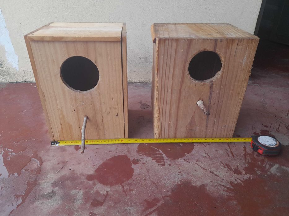 Vendo ninhos para caturras.