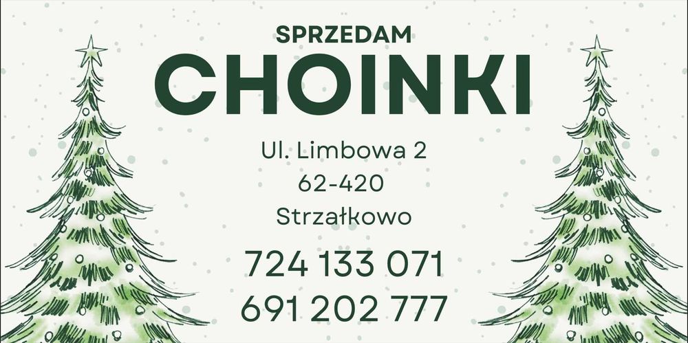 Choinka Bożonarodzeniowa Jodła Świerk Pospolity Srebrny Serbski WLKP