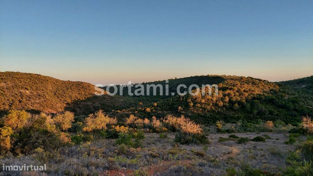 Terreno Rústico  Venda em Paderne,Albufeira