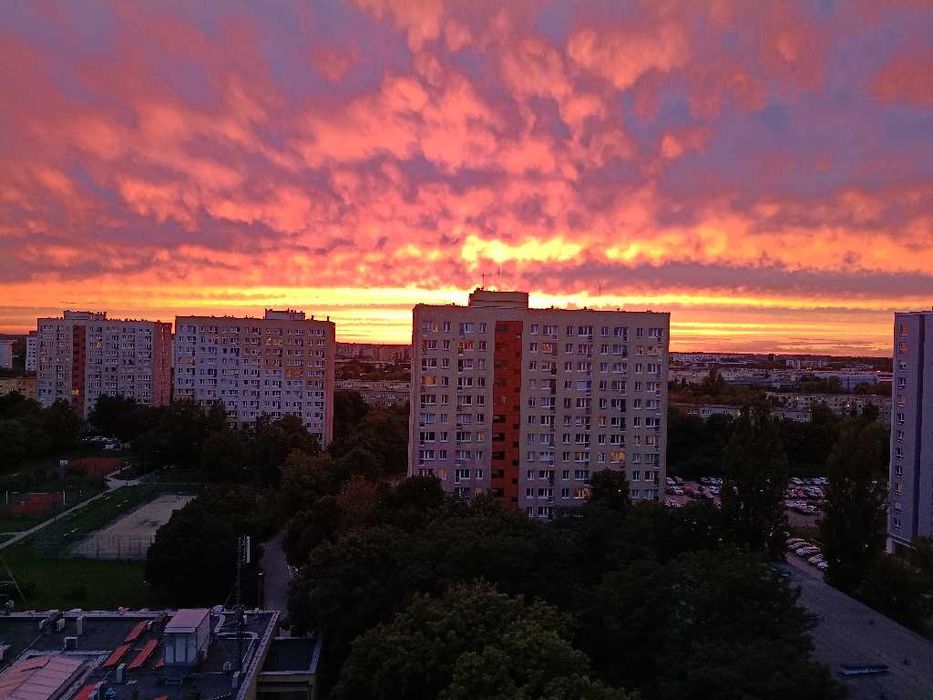 Zdjęcie 5