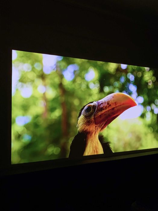 Проектор XGIMI Halo | Гарантія | Повний комплект