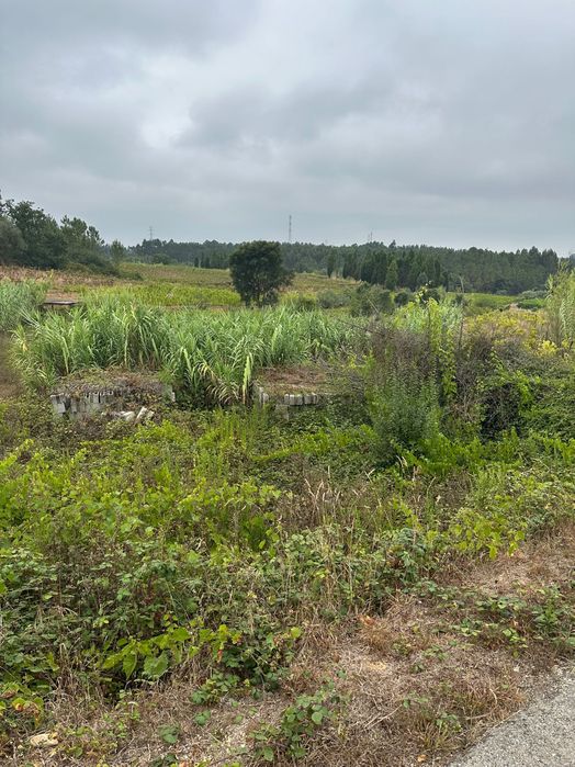 Terreno a venda em mogofores