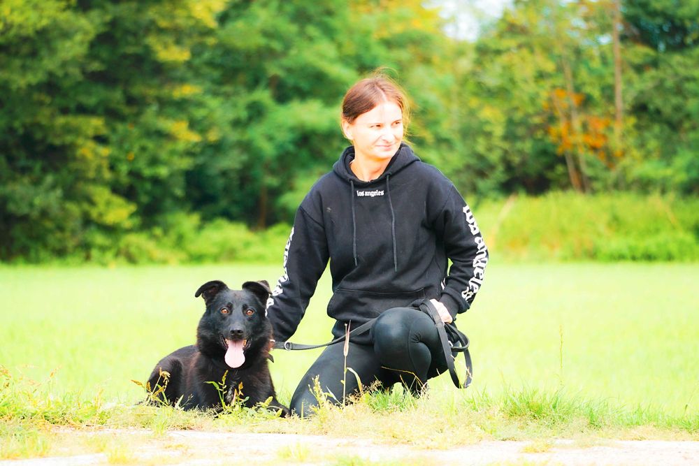 Verano super miły psiak czeka na dom