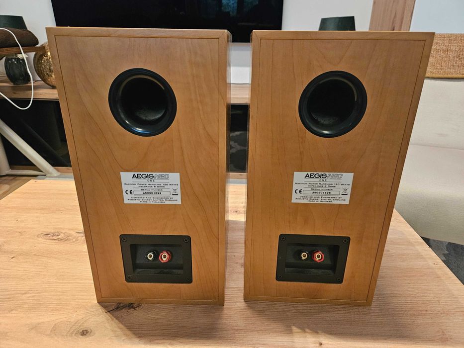 Głośniki Acoustic Energy Aegis Neo One – używane, stan bardzo dobry